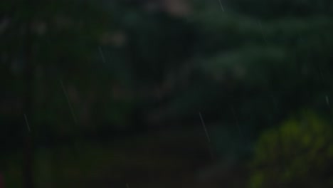 Raindrops-In-Nature-Out-Of-Focus-Background,-Shallow-Depth-Of-Field