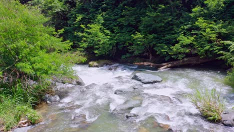 Prístinos-Rápidos-De-Jimenoa-En-El-Bosque-Tropical-De-Jarabacoa,-República-Dominicana