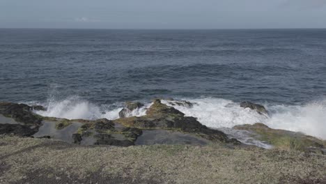 Hierba-Silvestre-Que-Se-Balancea-Suavemente-Con-El-Océano-Y-Los-Acantilados-Al-Fondo,-Capturada-En-Mosteiros,-Sao-Miguel,-D-log-Para-Colores-Intensos