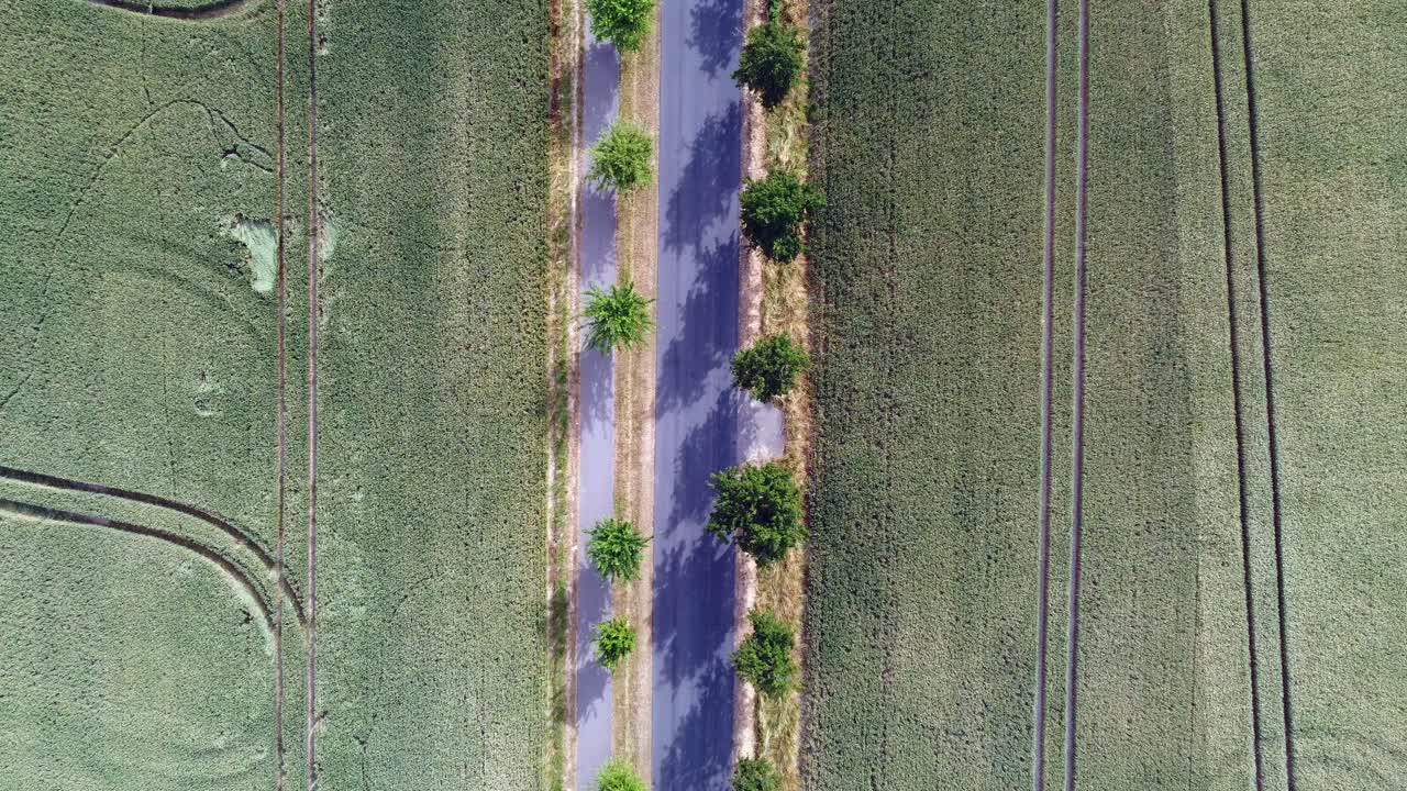 2022년 여름 유럽 작센 안할트의 거리에서 그림을 통해 시골길을 달리는 자동차 philipp marnitz의 4k 시네마틱 뷰