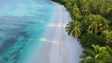 aerial view of a stunning tropical beach with turquoise waters and palm trees