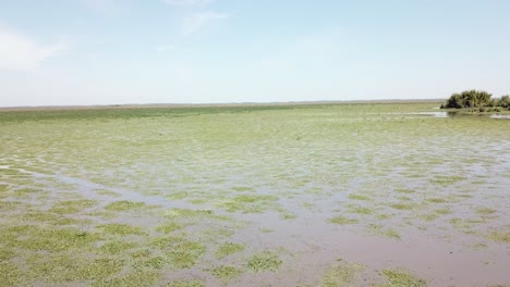 Large-wetlands-of-latin-america.-Water-reserves