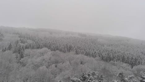 Beautiful-snowy-winter-landscape-with-white-snow-covered-forest-trees-during-snowfall-and-storm,-aerial-backwards-flight