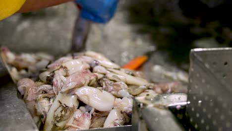 worker cleans and cuts squid behind pile of pink white squid in focus