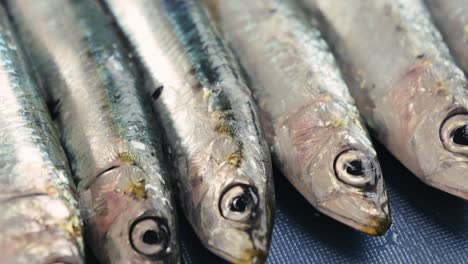 fresh anchovies