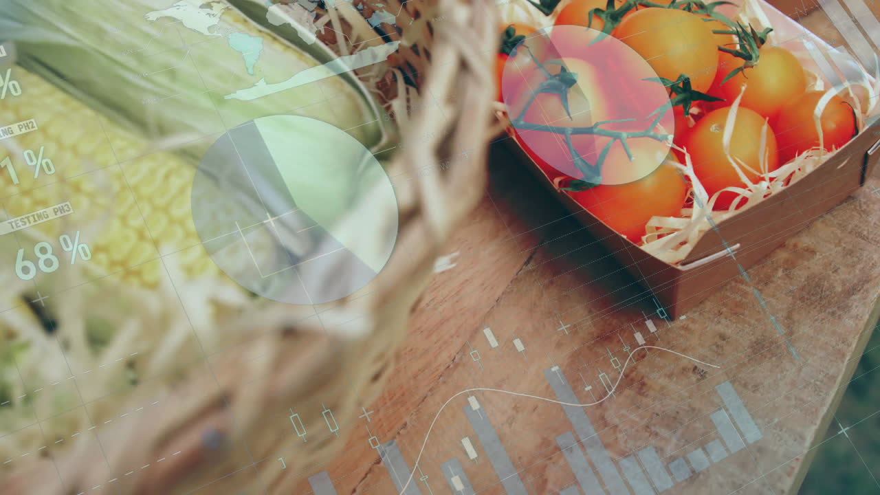 3D render showing analytics overlay floating above vine cherry tomatoes on rustic wood table