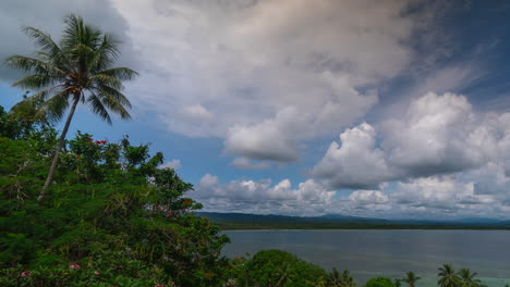 Tropica-Cocotero-Palma-Marea-Marea-Pacífico-Sur-Bahía-Ccean-Wewak-Este-Río-Sepik-Provincia-Capital-Distrito-Papua-Nueva-Guinea-Timelapse-Nubes-Sol-Soleado-Durante-El-Día-Islas-Tropicales-Madang-Costa-Norte