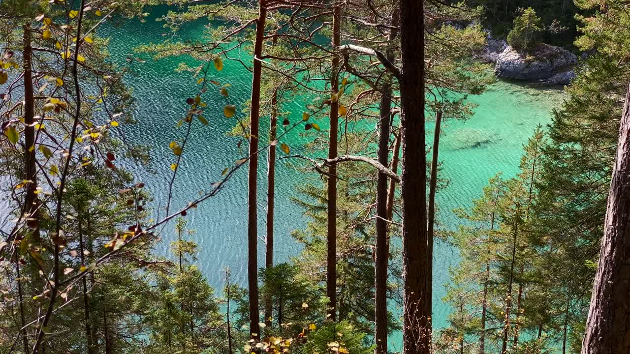 bosque con el hermoso lago eibsee en baviera detrás, con agua turquesa, muy cerca de la montaña zugspitze