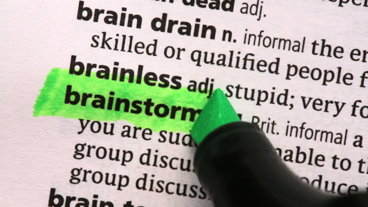 브레인 스 하이라이트