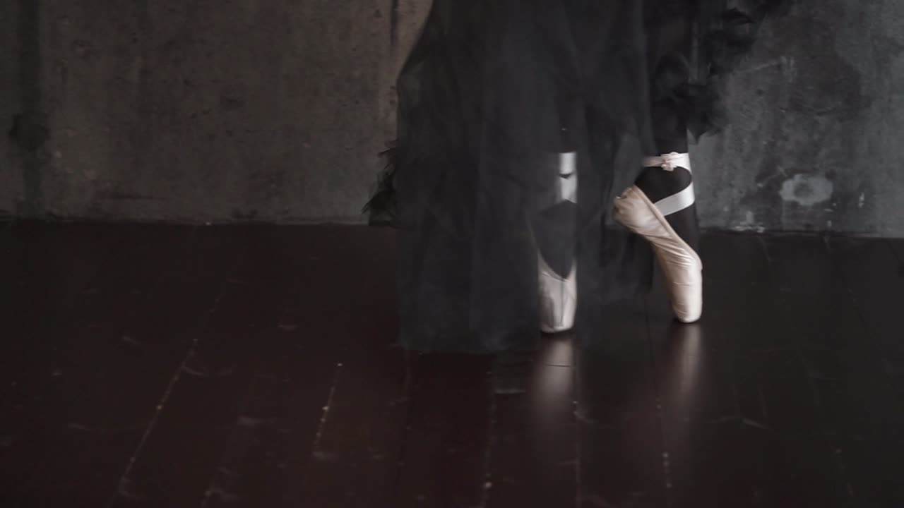 포인트 신발 을 입은 발레 댄서