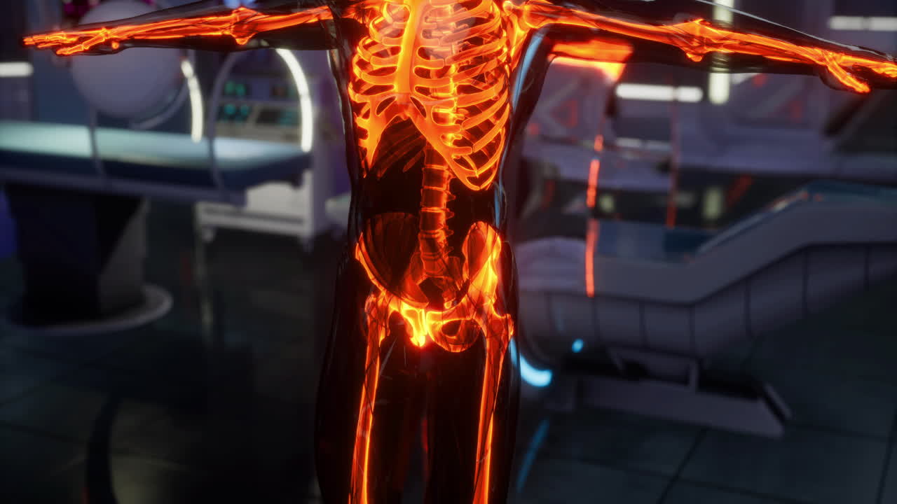 Detailed visualization of human skeleton in a medical laboratory environment