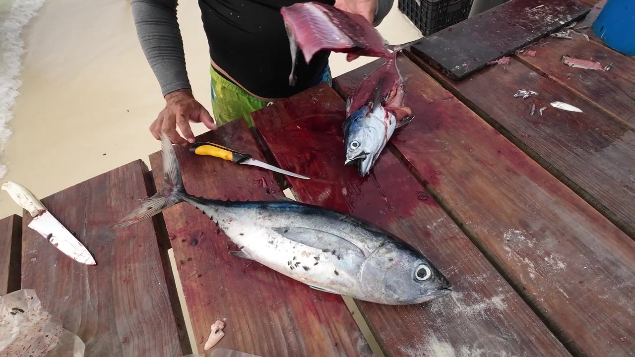 Un pescatore pulisce tonno fresco su un tavolo di legno sulla spiaggia in un ambiente costiero.
