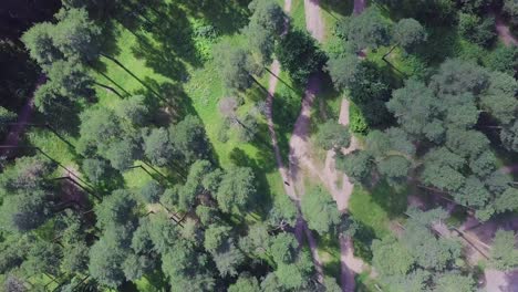 aerial view of a park with paths and trees