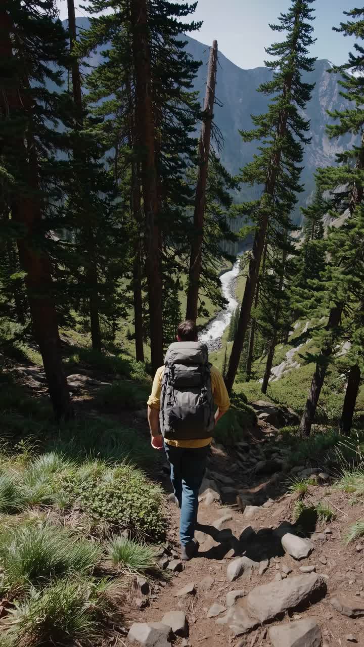 Prospettiva video aerea di un escursionista con uno zaino che cammina lungo un sentiero nel bosco, circondato da alti