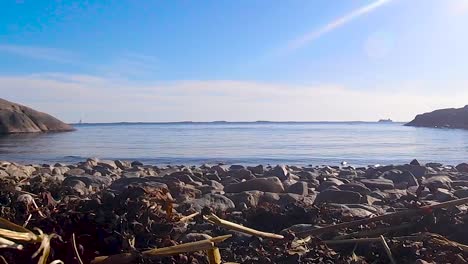 Rocky-Finnish-beach-with-driftwood-on-sunny-day,-zoom-in-shot