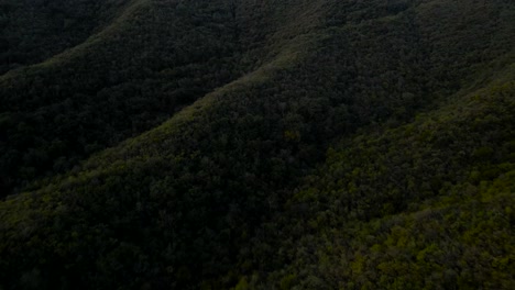 Toma-De-Drones-En-Aumento-De-Las-Montañas-Llenas-De-Bosques-Que-Rodean-Monterrey,-México