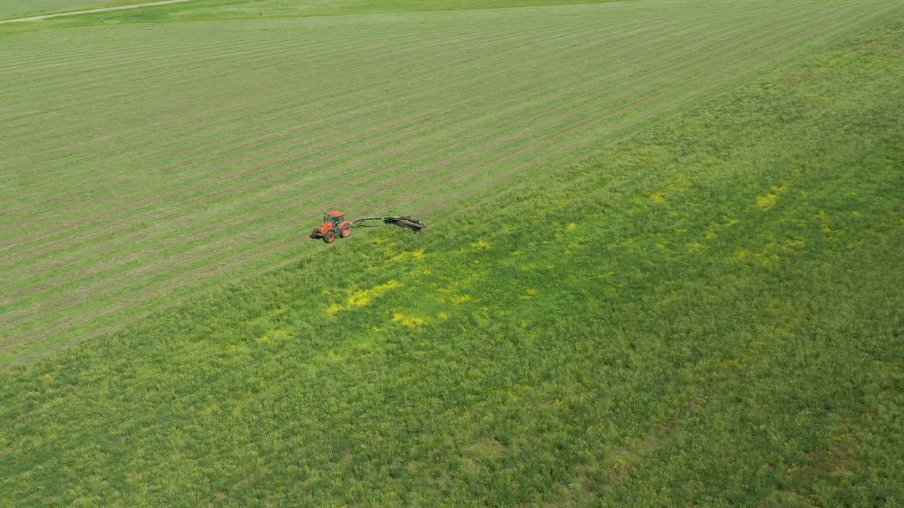 henificación en un campo verde soleado con tractor y remolque detrás de la segadora, disparo largo de drones