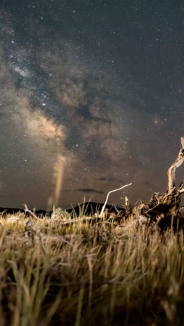 sunset to milky way vertical panning time lapse in utah's west desert mountains - uprooted tree in the foreground