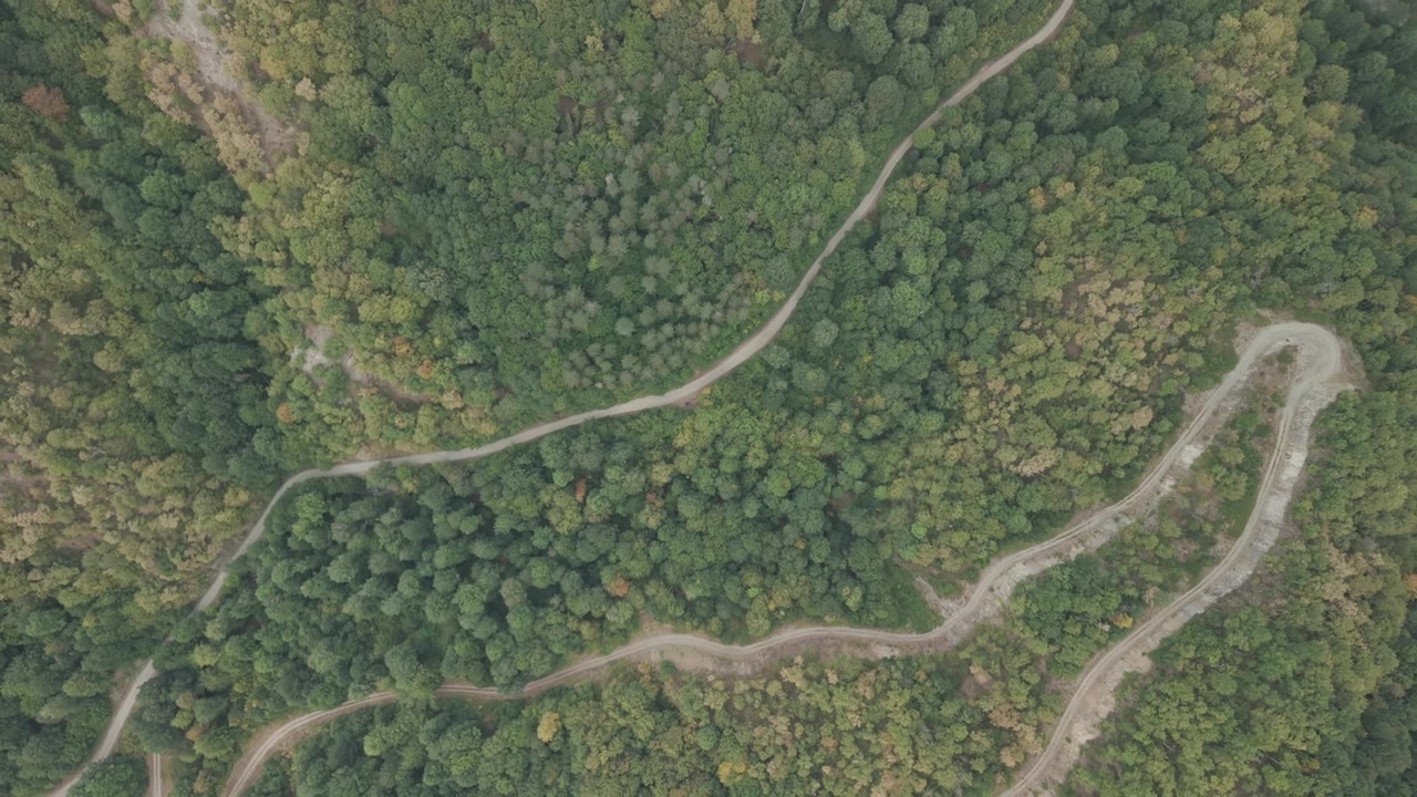 Top down drone shot ascending over a rural dirt road surrounded by lush green forest in Zonguldak, Turkey