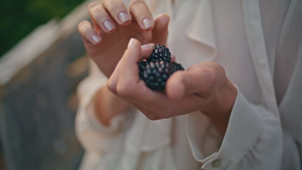 블랙베리를 들고 있는 여자의 손은 야외에서 가까이 쳐다보았다. 인식할 수 없는 소녀 브램블.