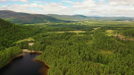 El-Tapiz-De-Las-Tierras-Altas:-Viajes-Aéreos-Sobre-El-Lago-An-Eilein-Y-El-Bosque-De-Pinos-Silvestres,-Aviemore,-Los-Cairngorms-De-Escocia,-Las-Tierras-Altas-De-Escocia,-Escocia