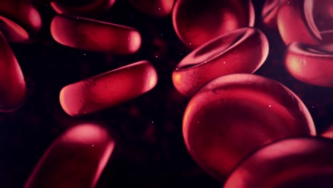 Flowing-Red-Blood-Cells,-stock-video,-floating-erythrocytes,-macro-view