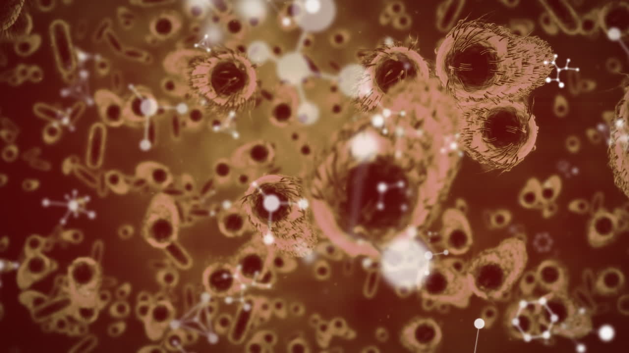 animación de células en movimiento sobre fondo rojo