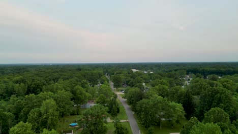 aerial shot of a suburban neighborhood surrounded by lush greenery, capturing the peaceful atmosphere of a community nestled within a forested area