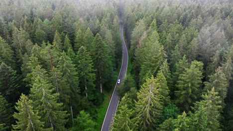 aerial footage of car passing through forest road