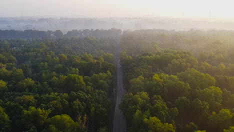 Luftaufnahme-Der-Straße-Mitten-Im-Wald-Bei-Sonnenaufgang