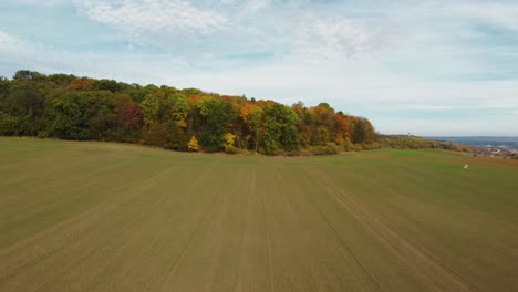 Volando-Sobre-Un-Campo-Verde-Hacia-Un-Bosque-Otoñal-En-Chequia,-Soleado