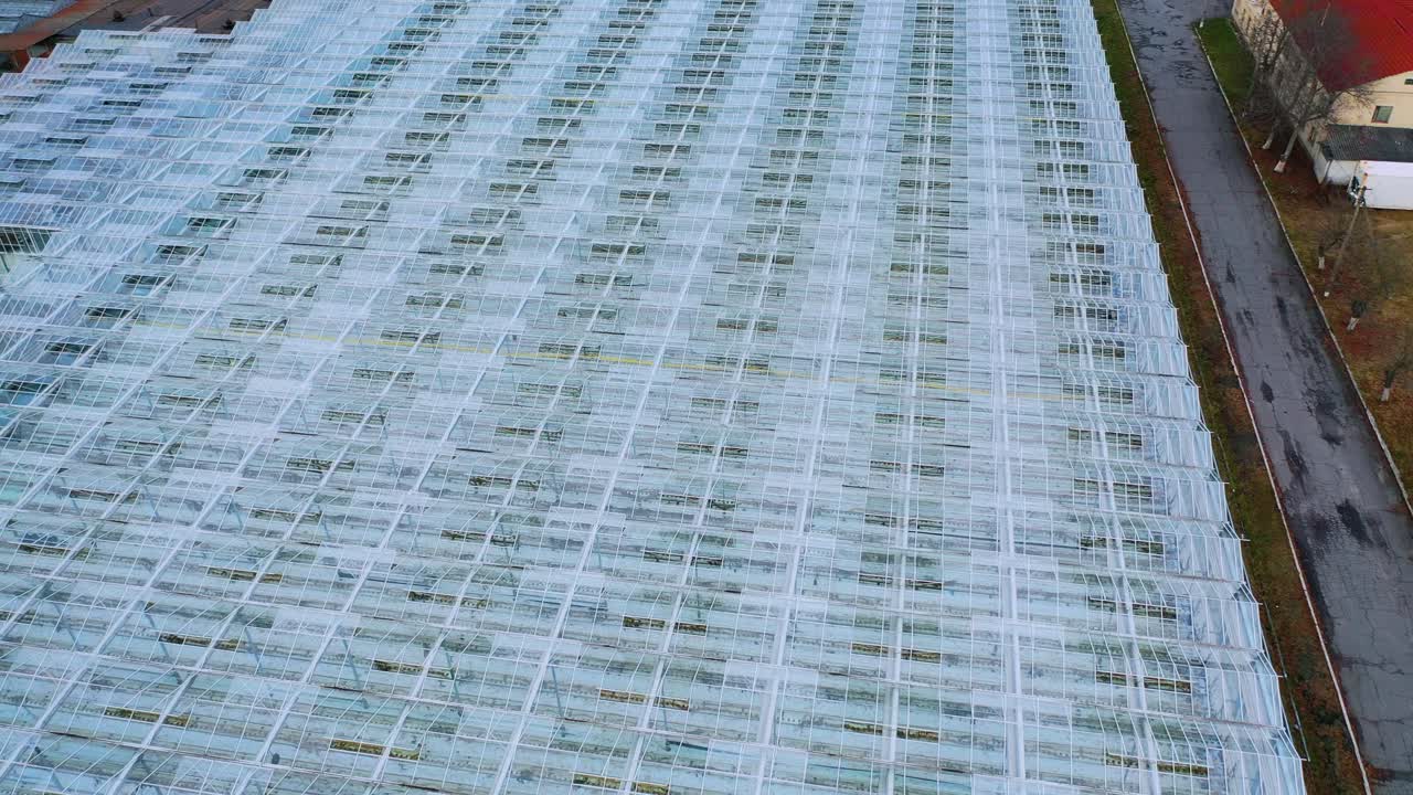 Flying over a glass greenhouse. with vegetables Large industrial greenhouses