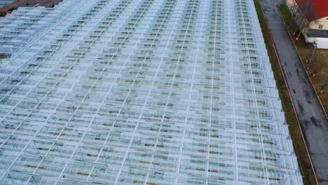flying over a glass greenhouse. with vegetables large industrial greenhouses