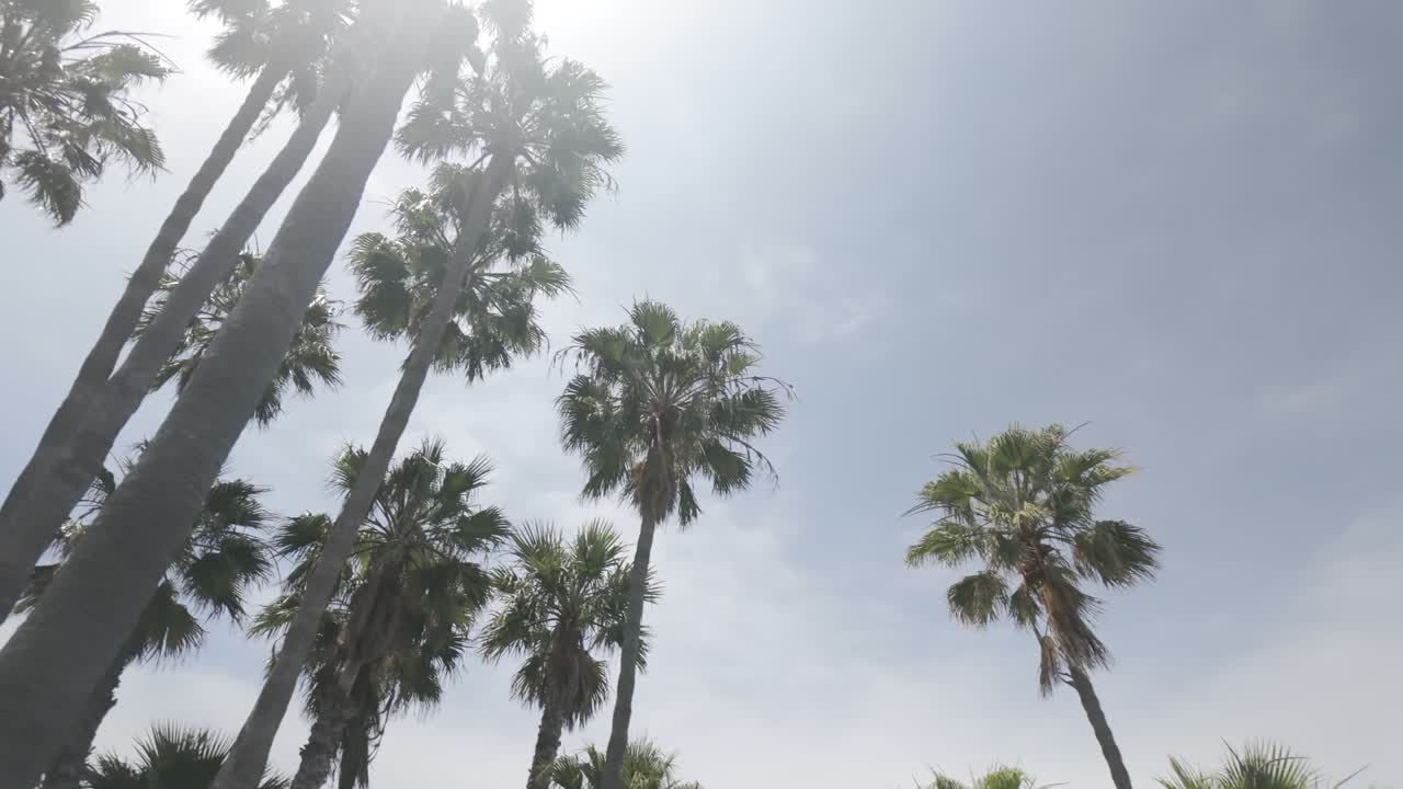 아름다운 캘리포니아 해안 해변 - 4k 로그 등급되지 않은