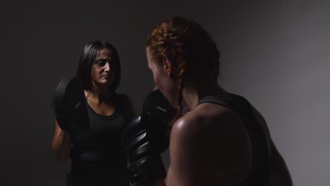 fotografía de estudio de dos mujeres maduras con ropa de gimnasia haciendo ejercicio de boxeo y entrenamiento juntas 3