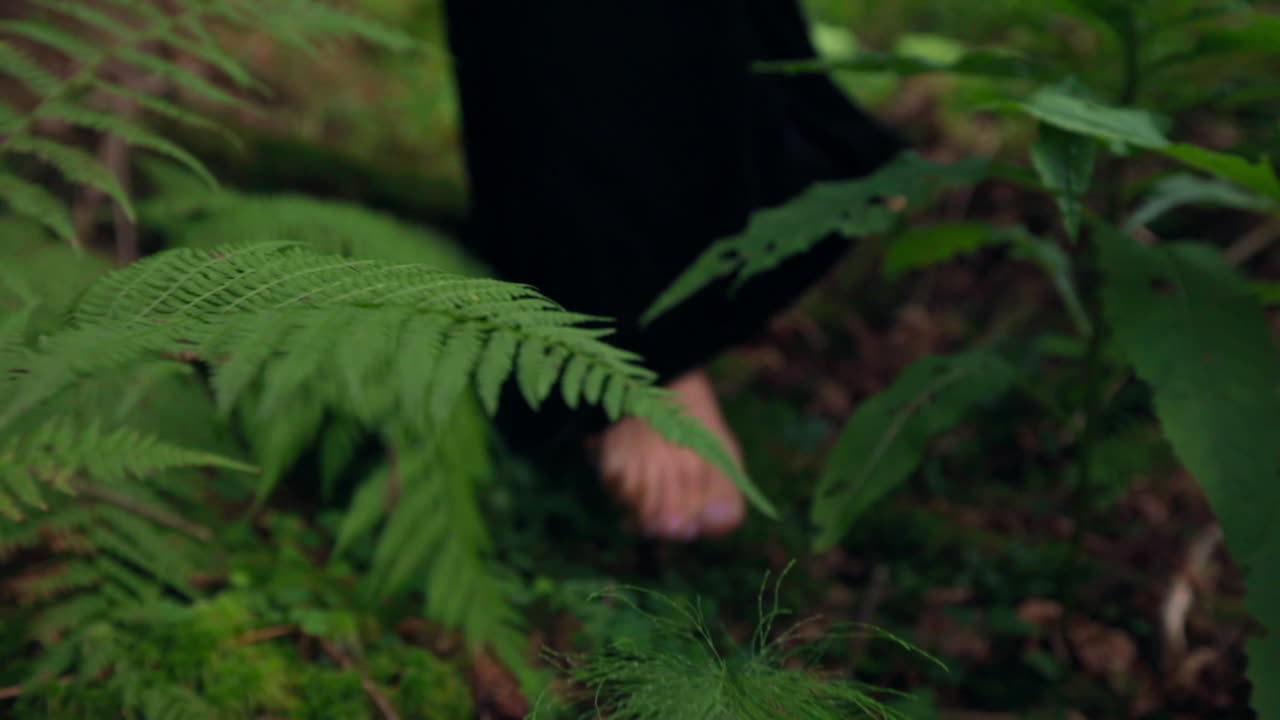Girl's bare feet on green grass. Female's walk in the forest. Legs of a woman in long dress among fresh moss. Close-up.