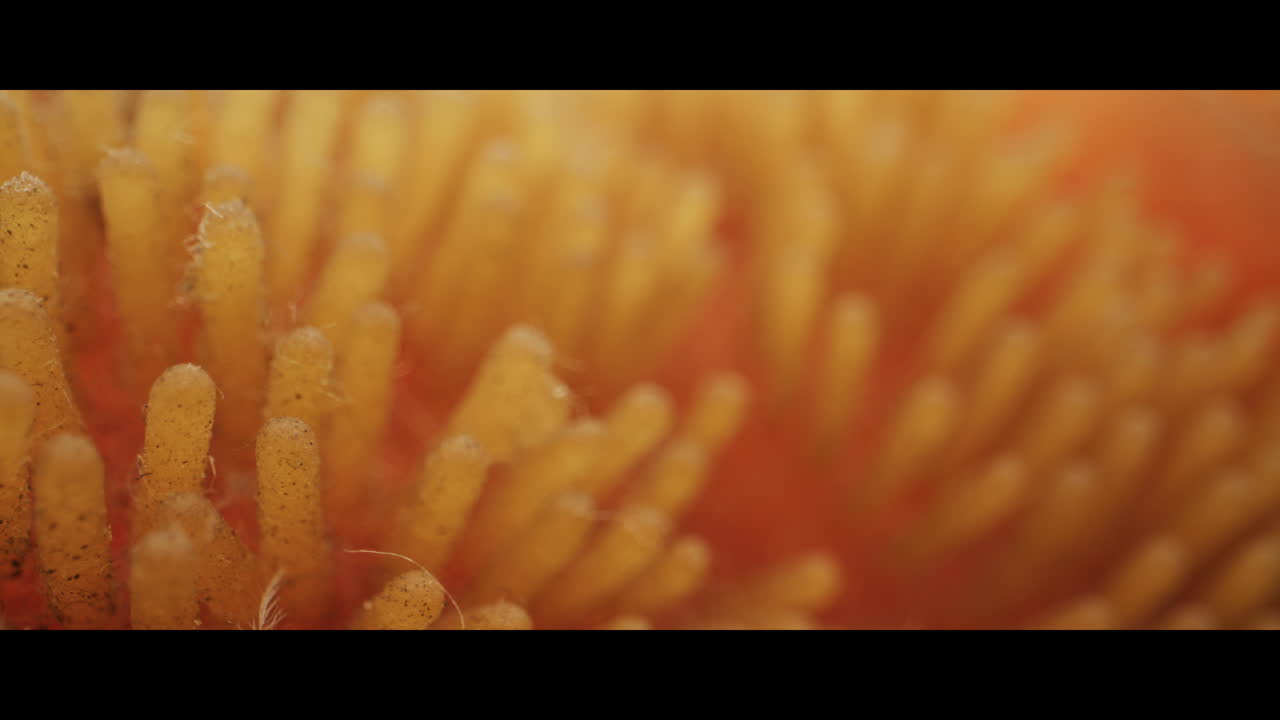 Close-up of a textured brush