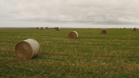 agriculture, farms, aerial view of rolls of hay in the field