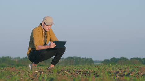 farmer inspecting corn crop using tablet