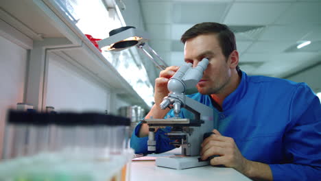 chemist using microscope in chemistry laboratory. scientist looking microscope