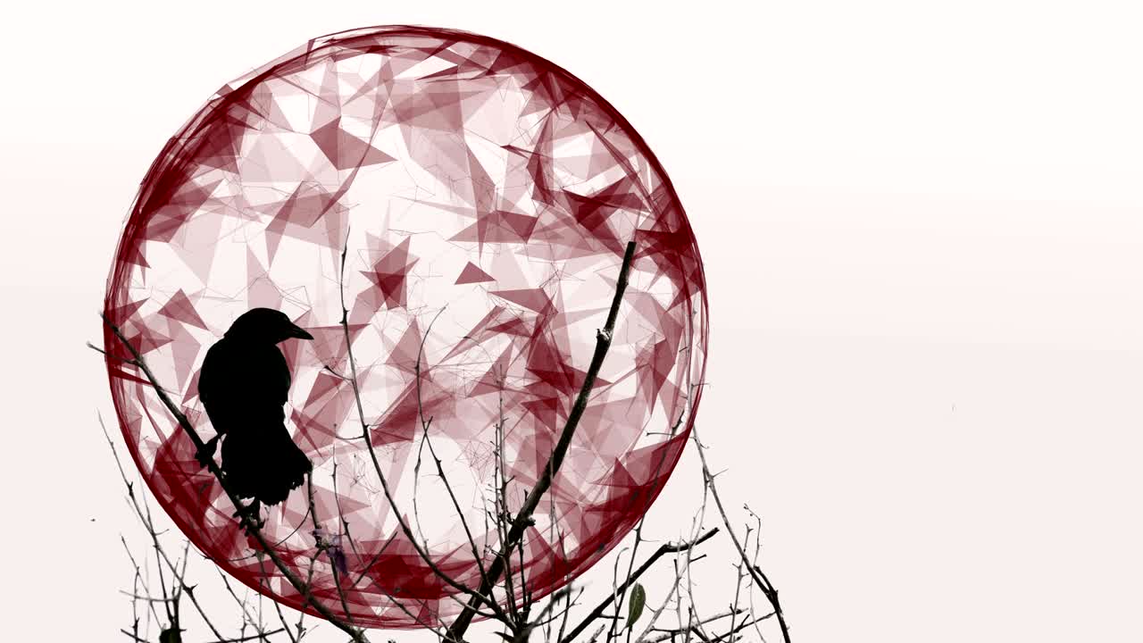 애니메이션 달에 대한 까마귀 - 완벽한 루프