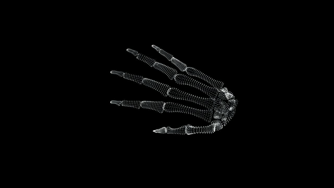 pantalla 3d de la estructura ósea en la mano humana en el cuerpo humano - bucle