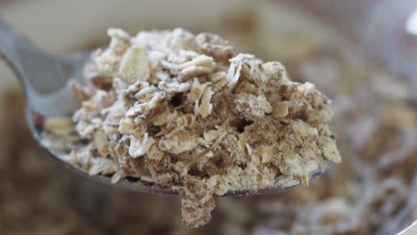 harina de avena en una cuchara