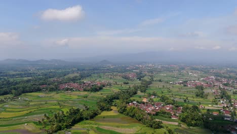 Icónico-Paisaje-Indonesio-De-Campos-De-Arroz-Y-Pequeños-Pueblos,-Vista-Aérea