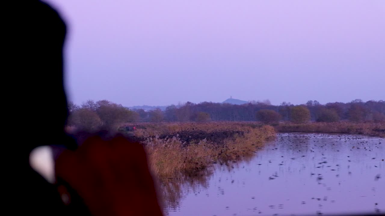 Birdwatcher watching moorhen marsh hen birds and starlings coming home to roost on lake with Glastonbury Tor in background in Somerset, England