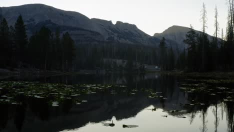 aerial drone flying over the tranquil butterfly lake with lily pads up the uinta national forest in utah with large rocky mountains and pine trees surrounding on a foggy summer morning while camping