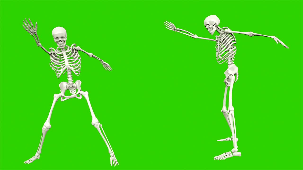 danza dello scheletro. animazione a loop senza soluzione di continuità sullo schermo verde.