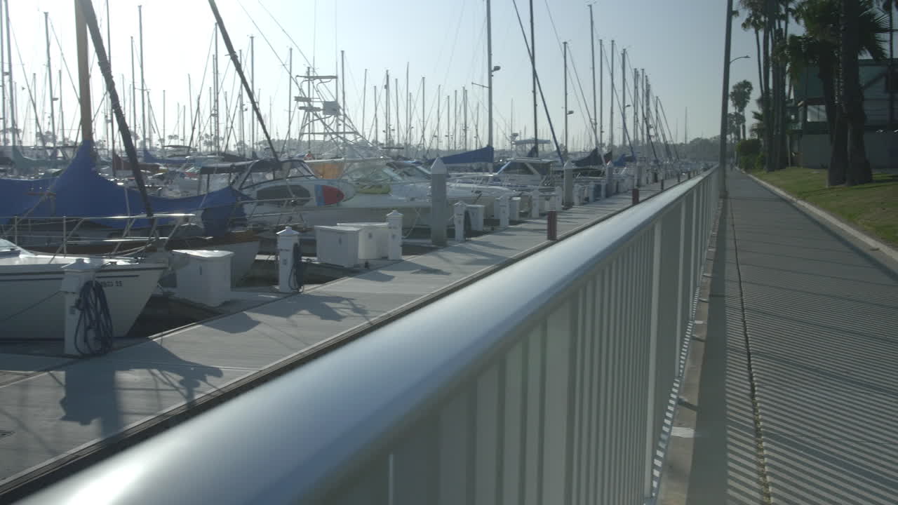 캘리포니아 마리나 002 팬