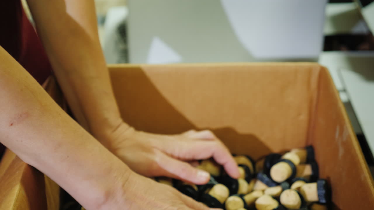 muchos corchos para botellas de vino el trabajo de la bodega