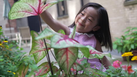 asian girl playing with flowers and plants in the garden, close up portrait shot